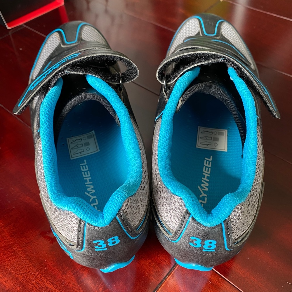 Flywheel Spin Shoes